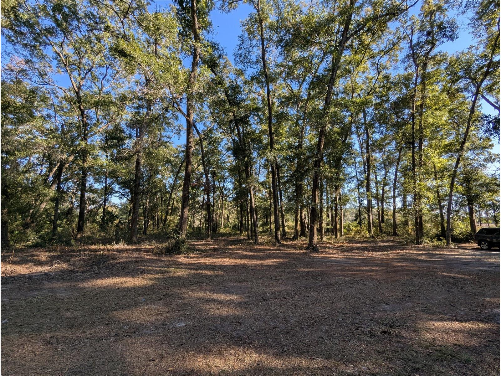 4739 SE 60th Avenue Trenton FL 32693 OM713546 image47