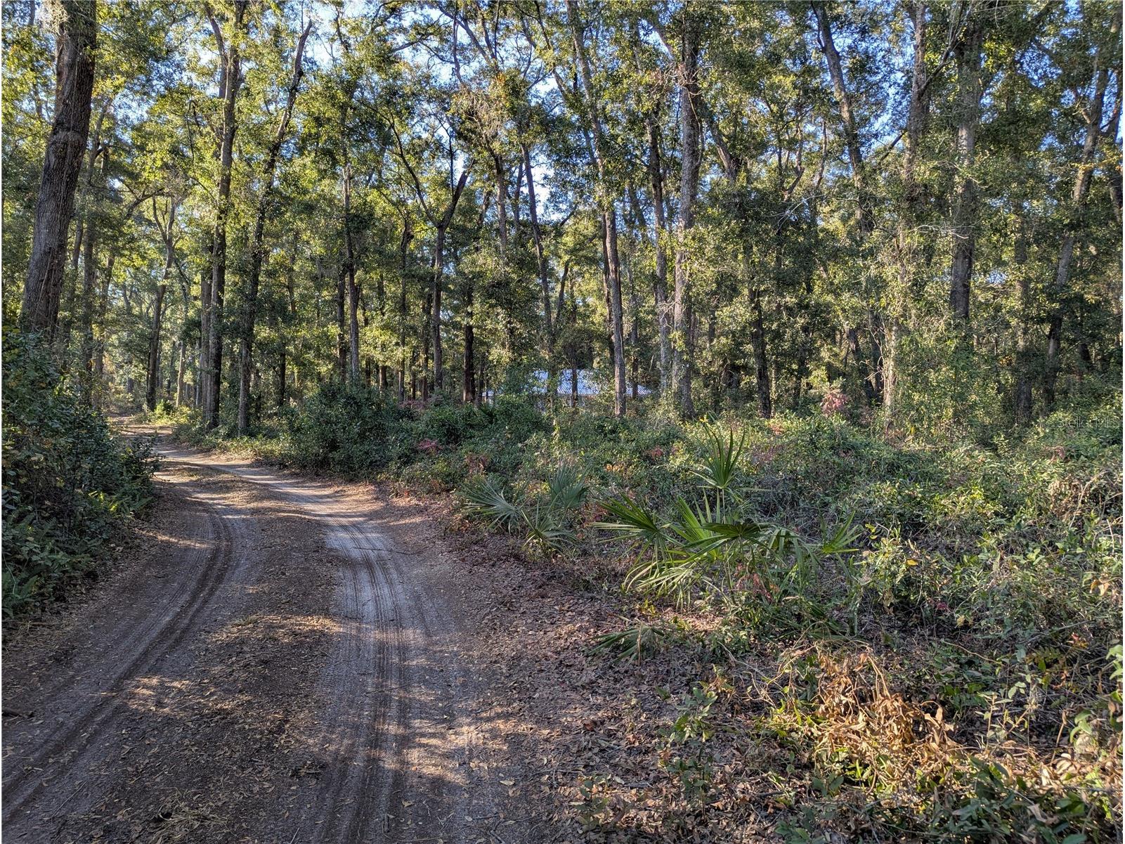 4739 SE 60th Avenue Trenton FL 32693 OM713546 image49