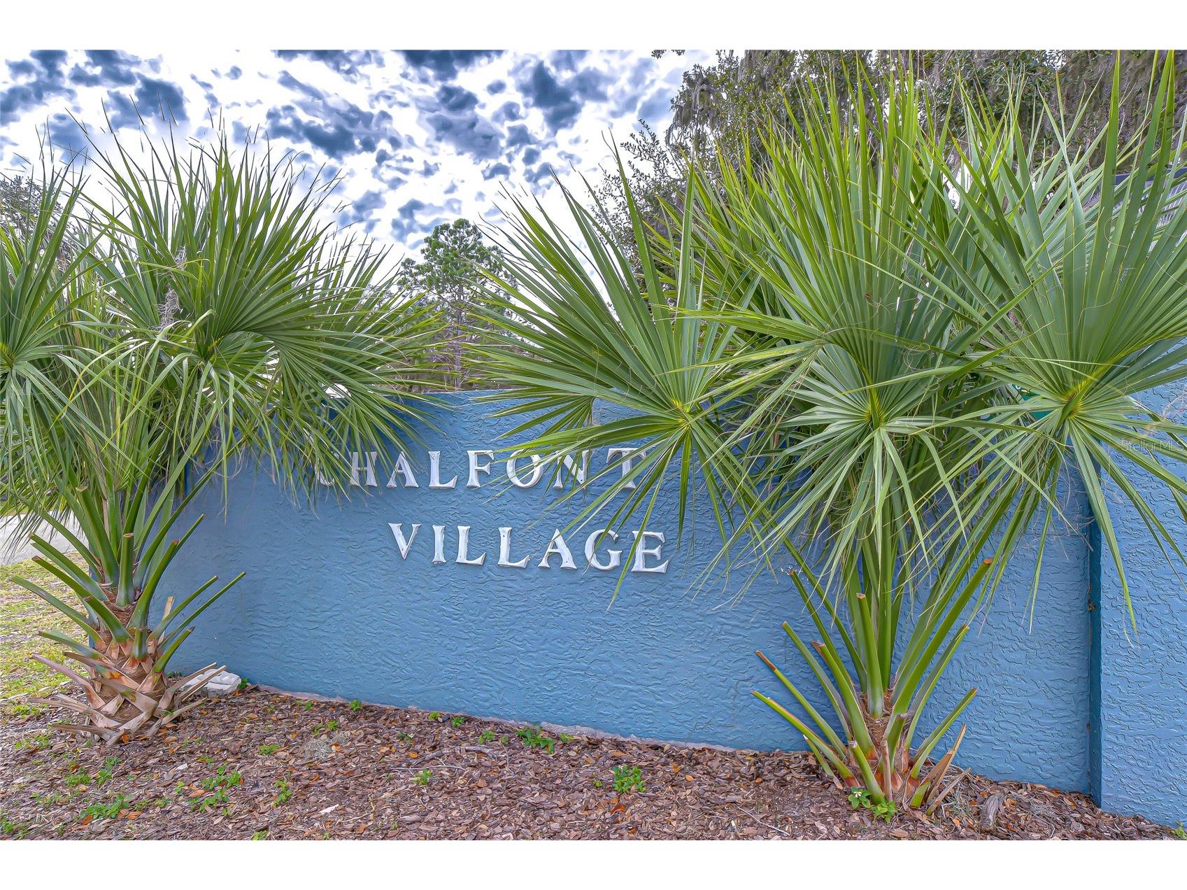 4739 Silver Circle Zephyrhills FL 33541 TB8465084 image25