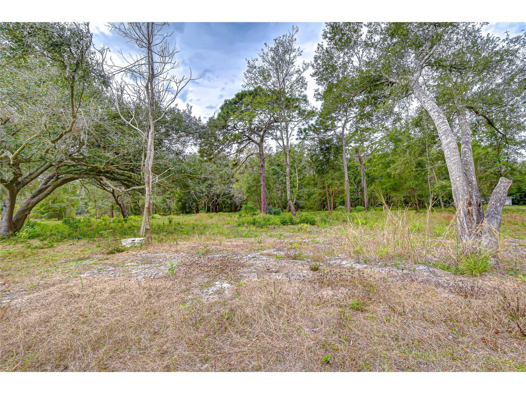 4739 Silver Circle Zephyrhills FL 33541 TB8465084 image27