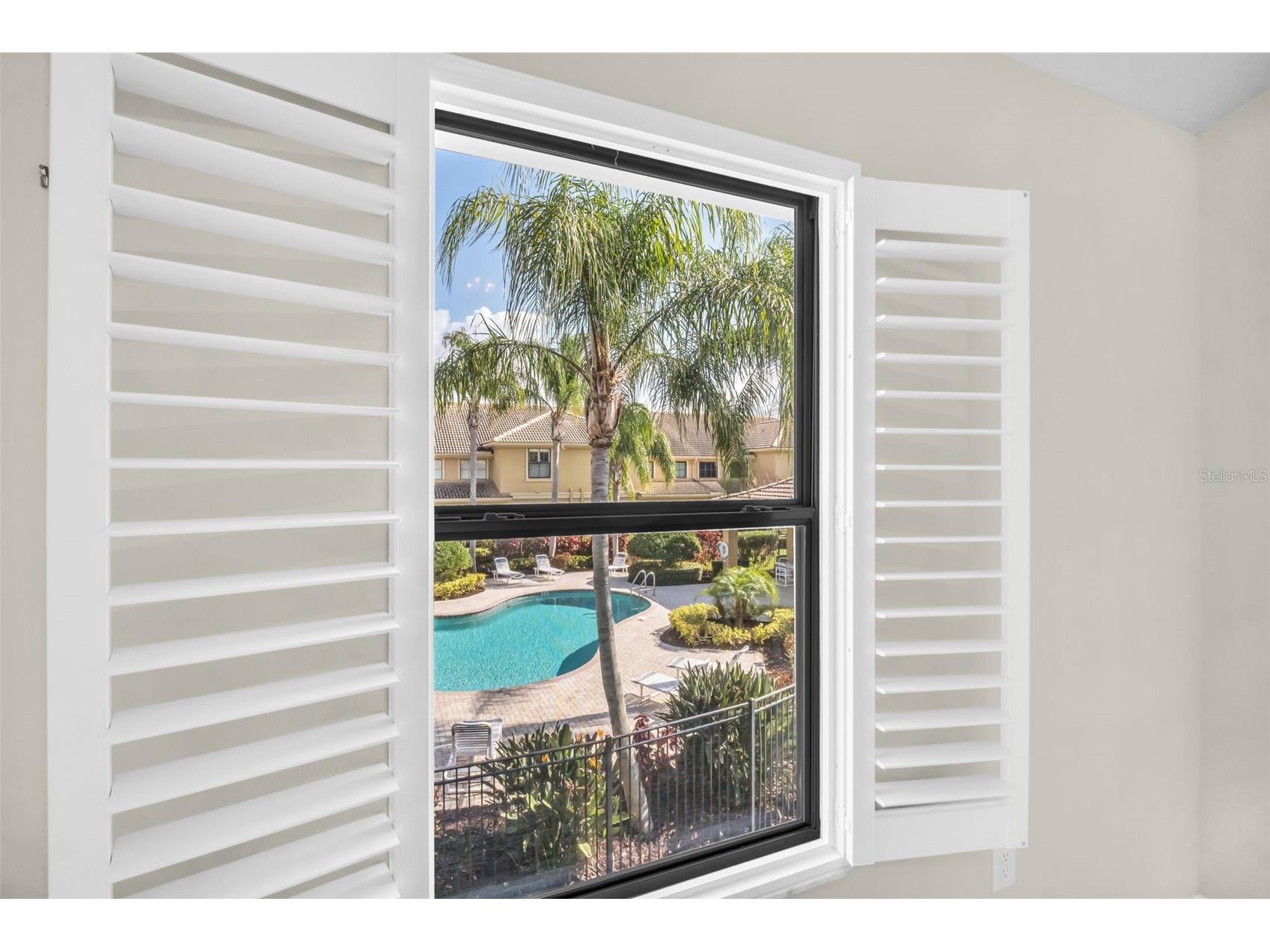 4739 Silverking Way Palm Harbor FL 34684 TB8465180 image36