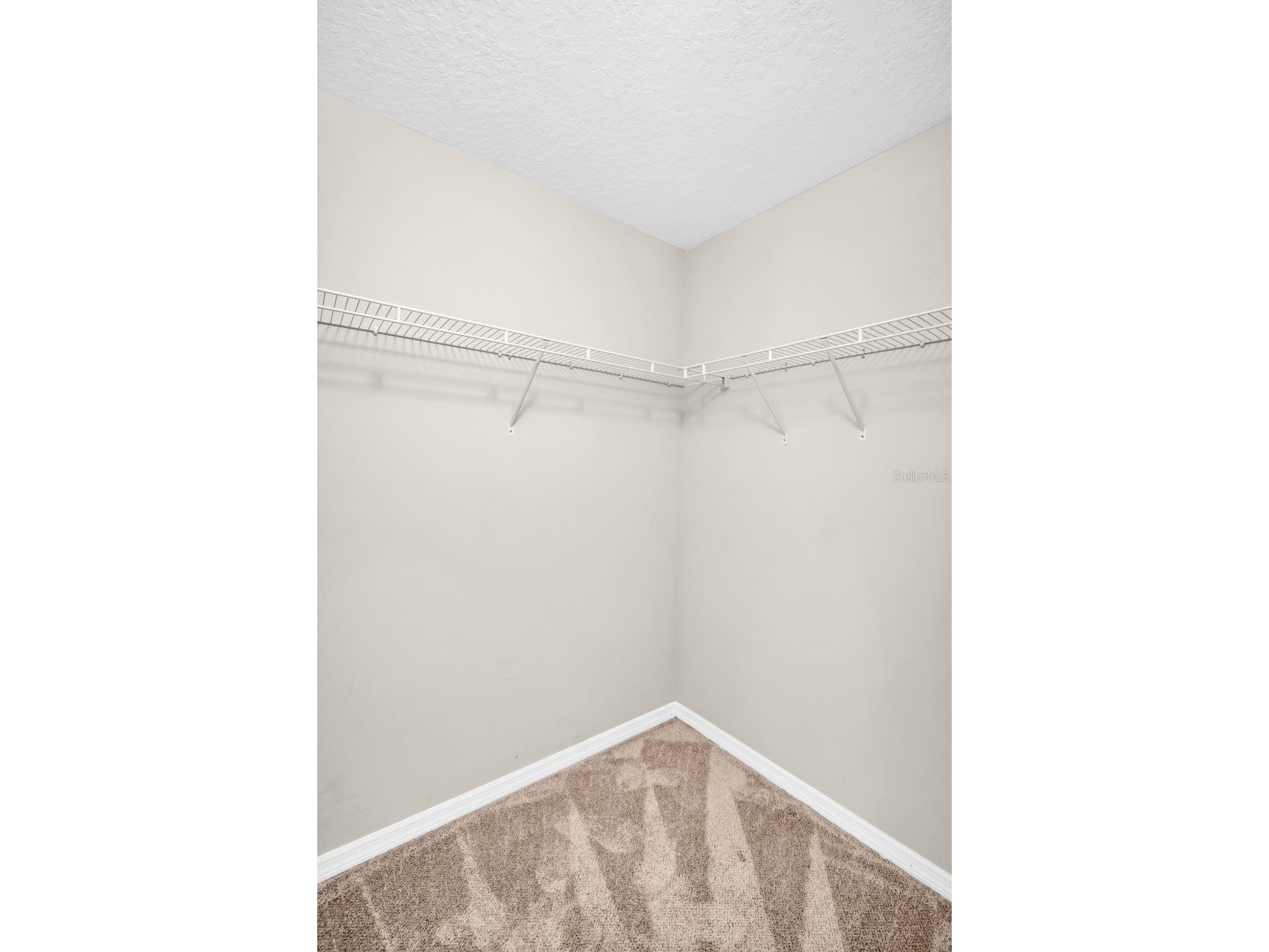 4739 Silverking Way Palm Harbor FL 34684 TB8465180 image39