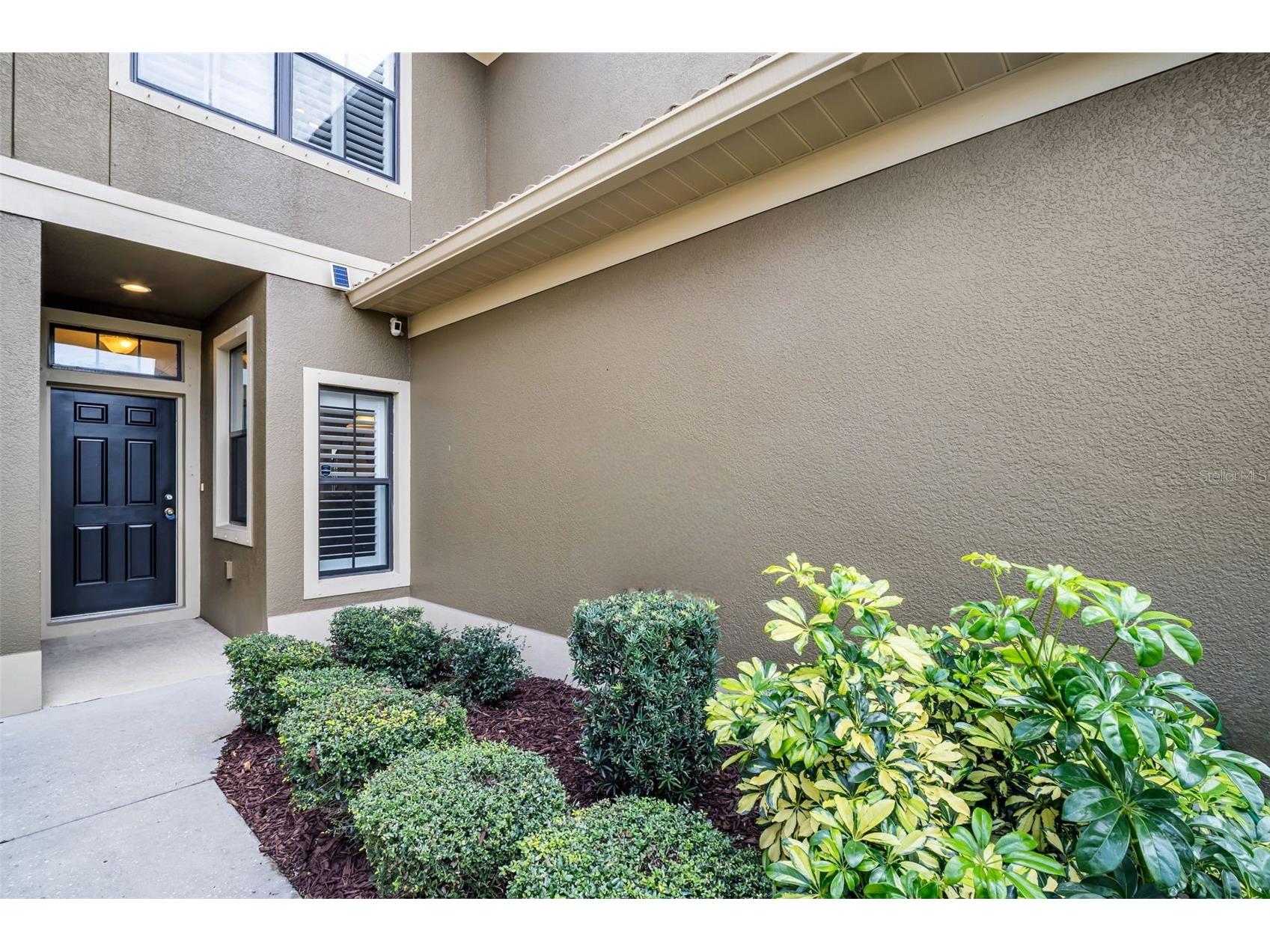 4739 Silverking Way Palm Harbor FL 34684 TB8465180 image4