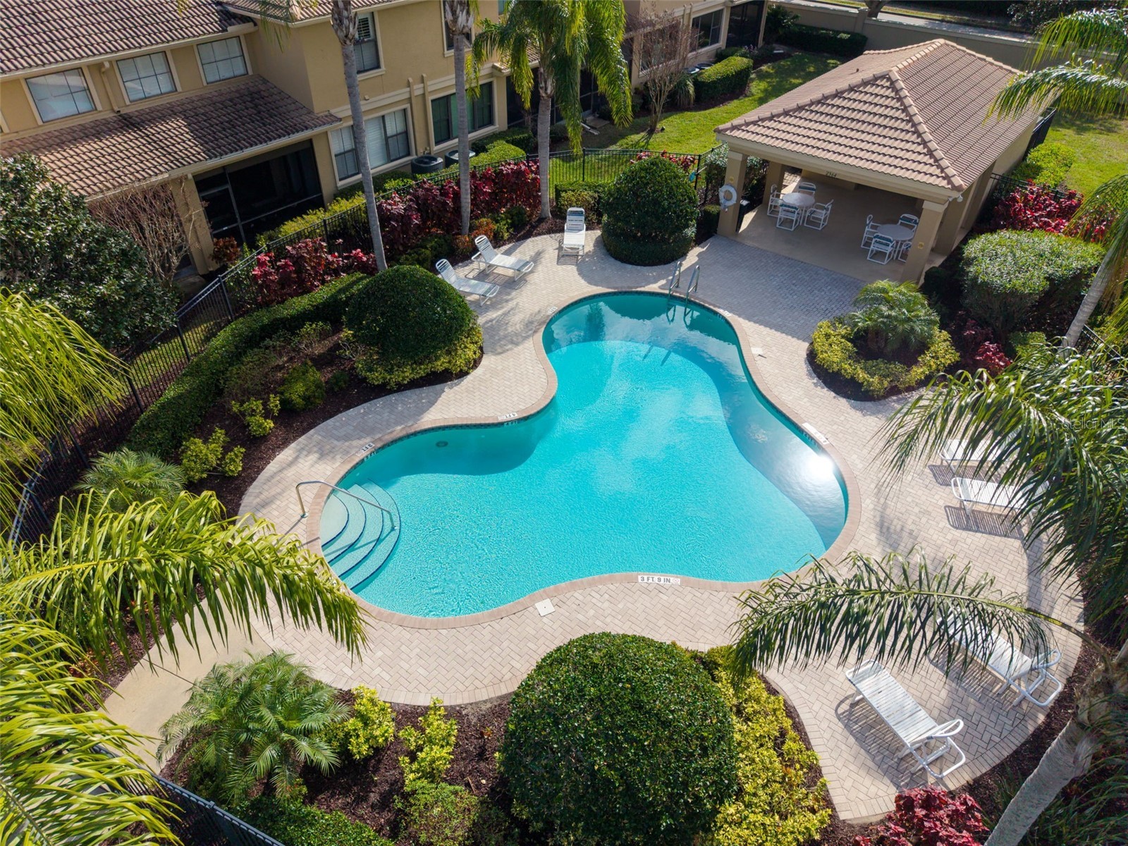 4739 Silverking Way Palm Harbor FL 34684 TB8465180 image48