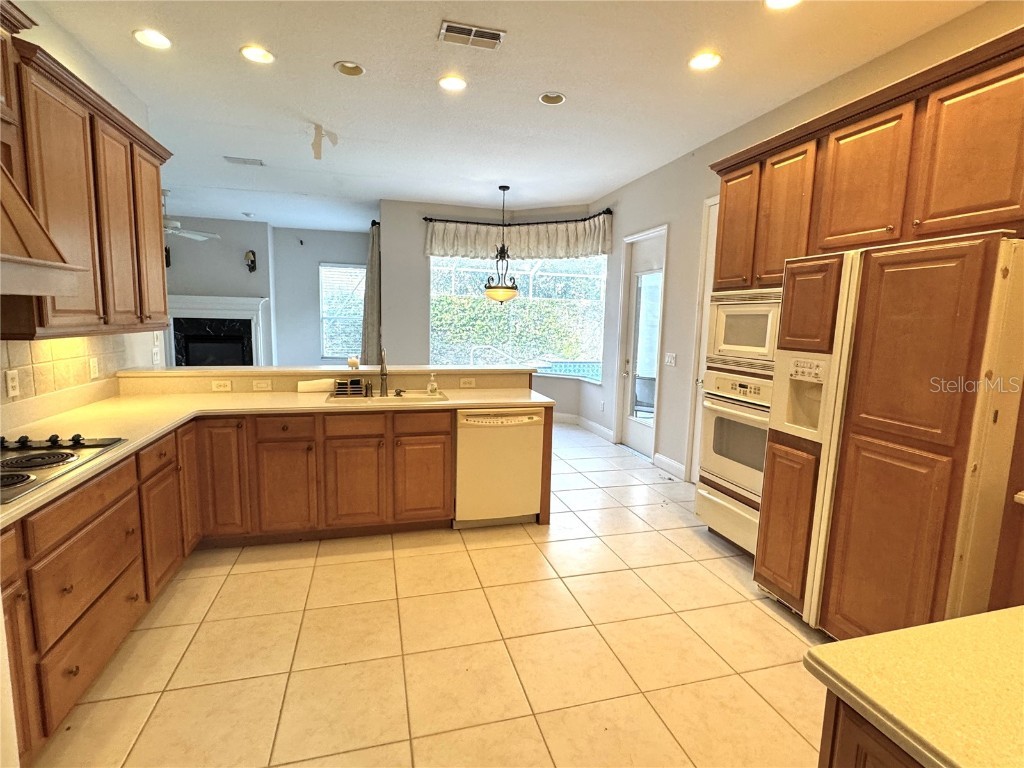 4739 W Angus Drive Beverly Hills FL 34465 OM712292 image3