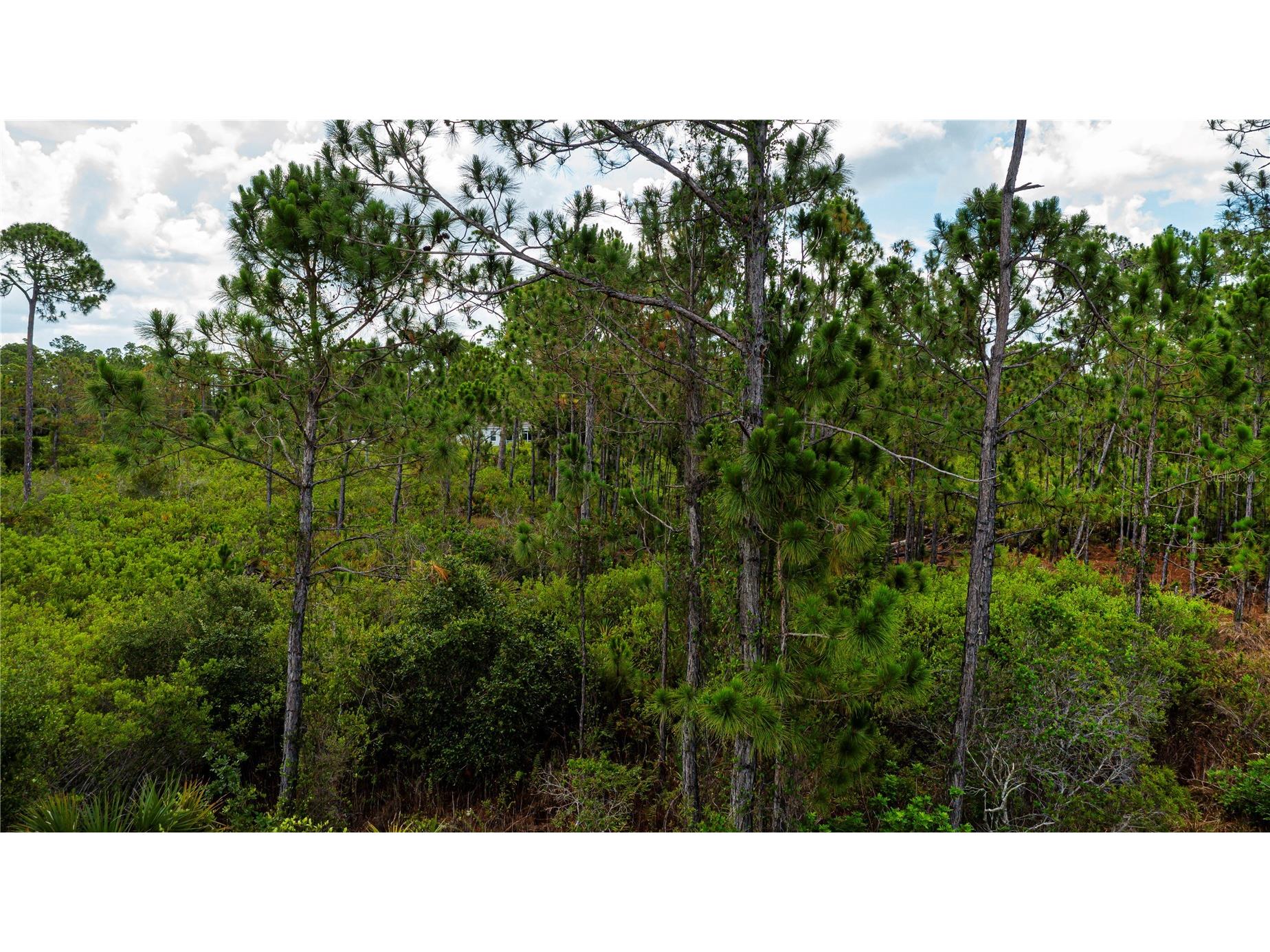 474 Hanscom Street Port Charlotte FL 33953 A4698962 image23