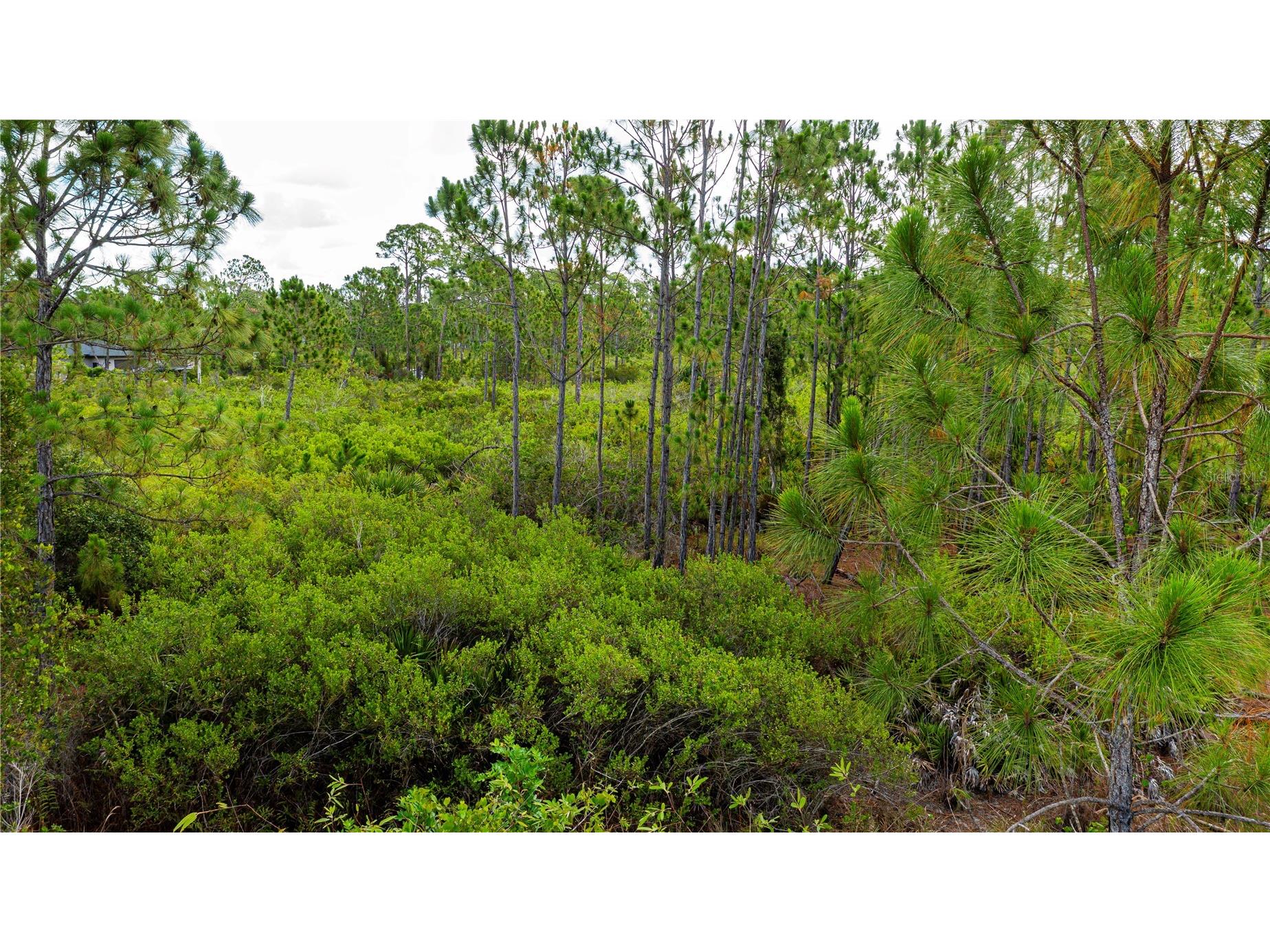 474 Hanscom Street Port Charlotte FL 33953 A4698962 image24