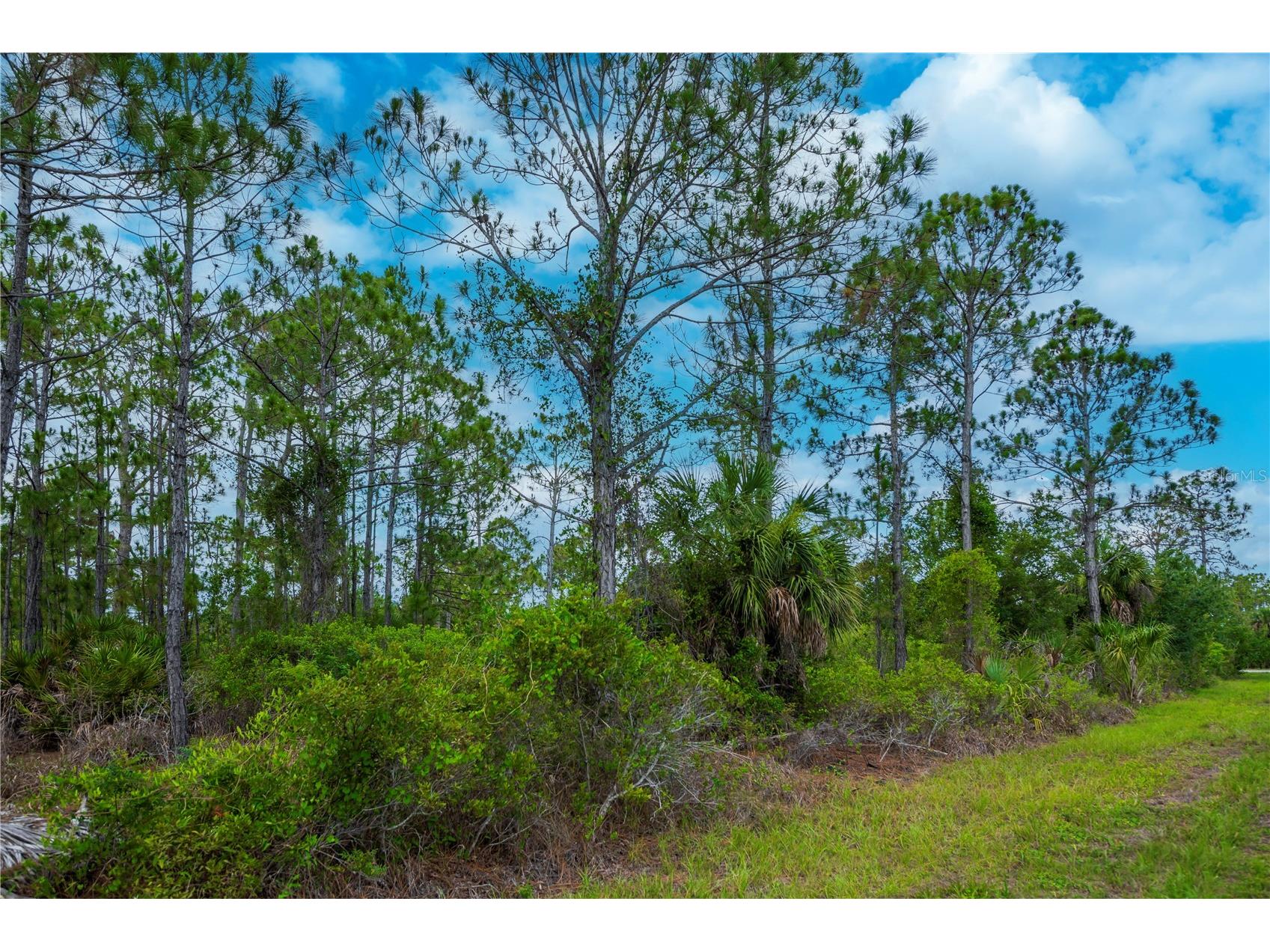 474 Hanscom Street Port Charlotte FL 33953 A4698962 image4