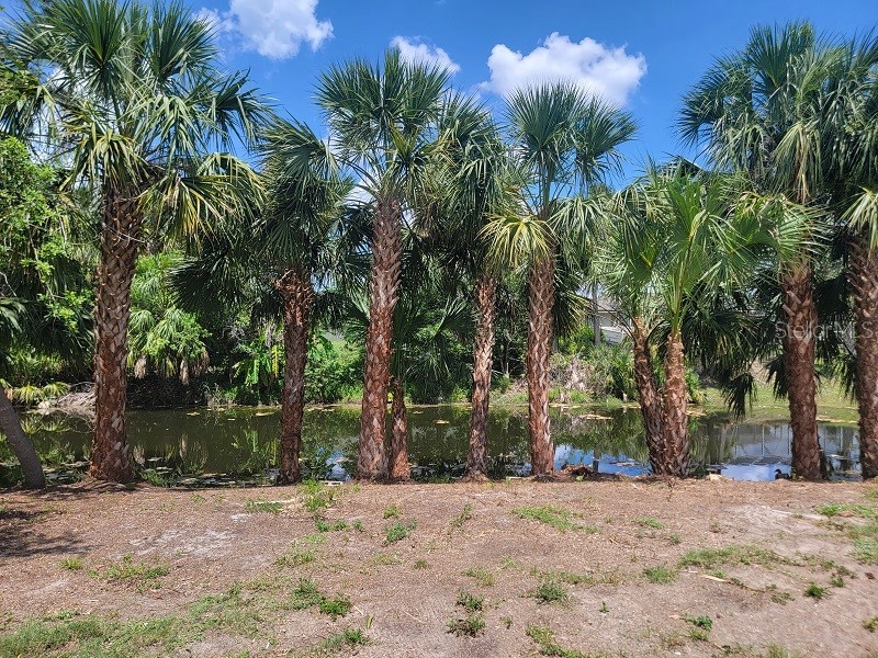 474 Hinton Street Port Charlotte FL 33954 TB8479386 image21