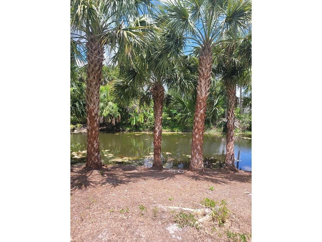 474 Hinton Street Port Charlotte FL 33954 TB8479386 image22