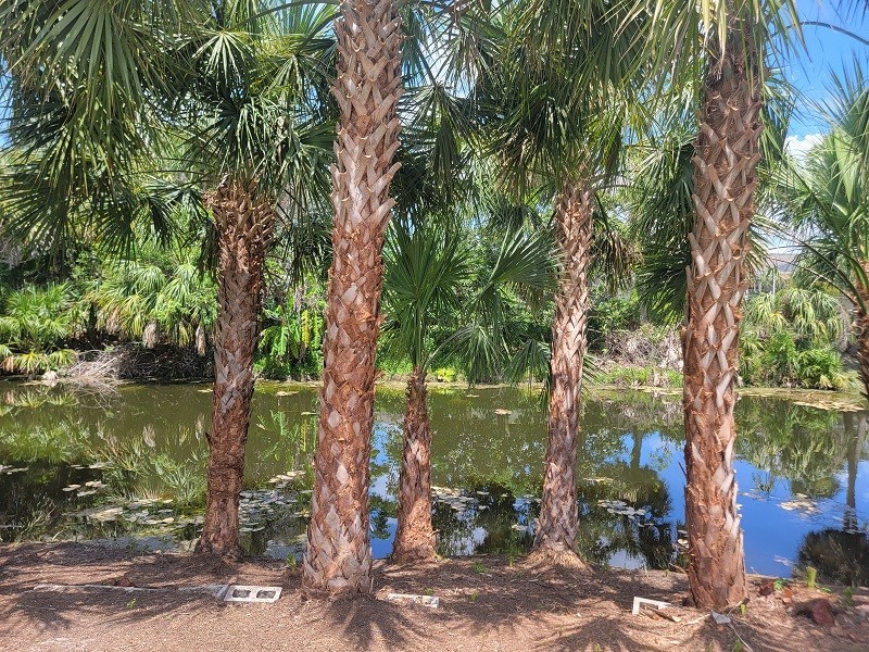 474 Hinton Street Port Charlotte FL 33954 TB8479386 image23
