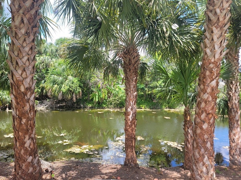 474 Hinton Street Port Charlotte FL 33954 TB8479386 image24