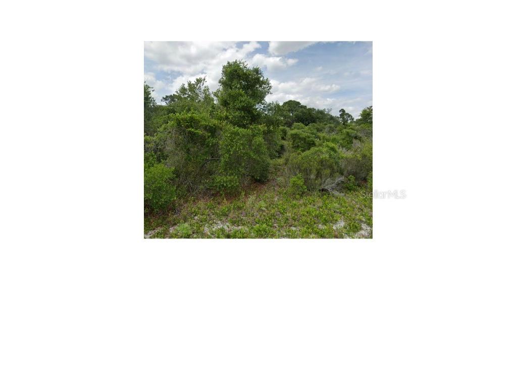 474 Johnson Avenue NE Lake Placid FL 33852 O6235434 image1