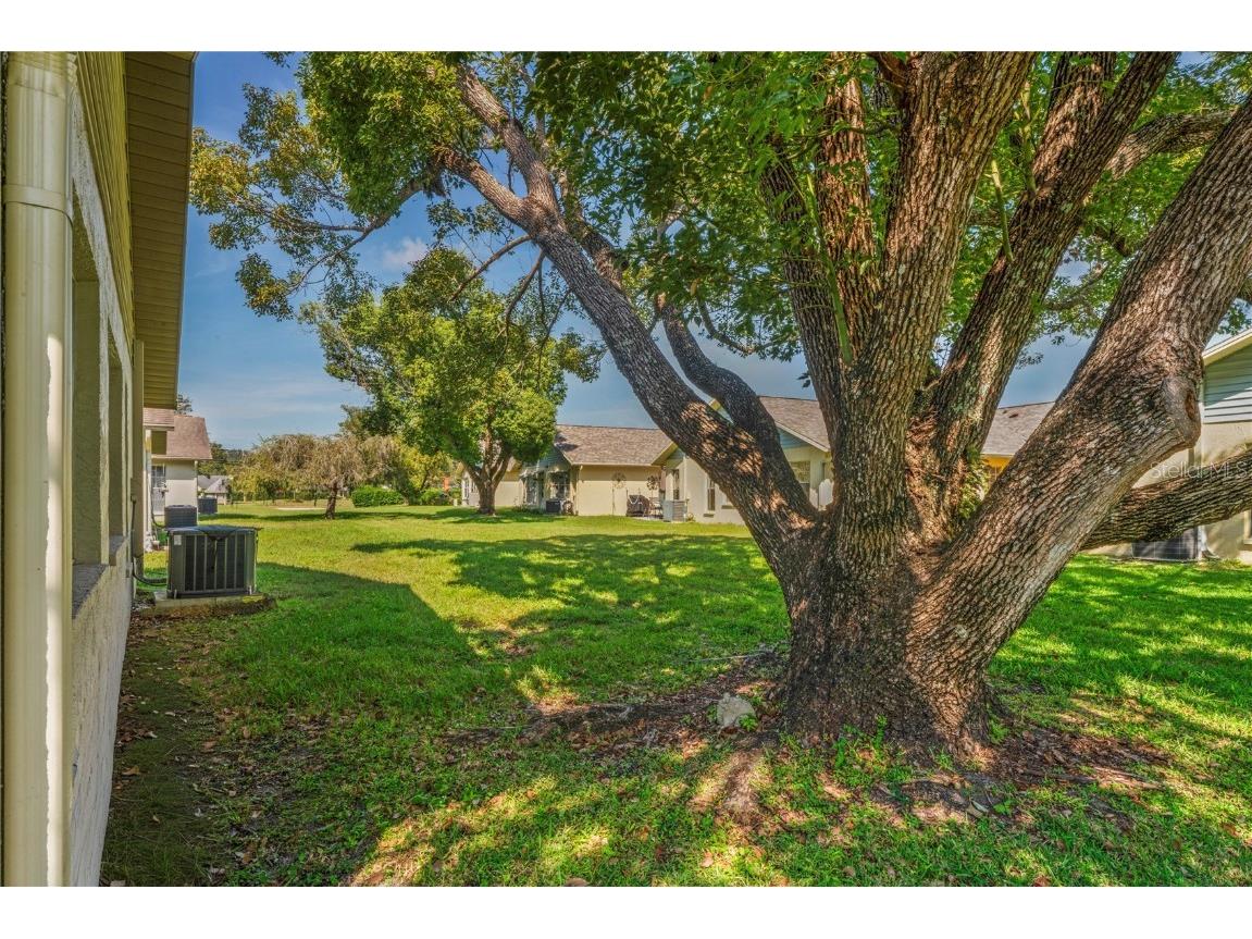 4740 Carrington Court New Port Richey FL 34655 W7880148 image13