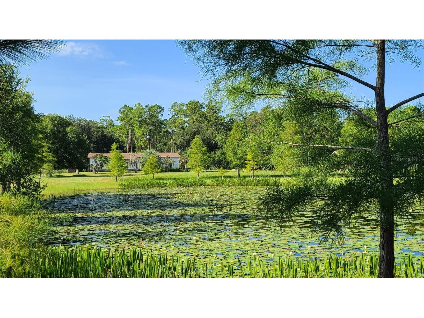 4740 Mildred Bass Road Saint Cloud FL 34772 S5089750 image1