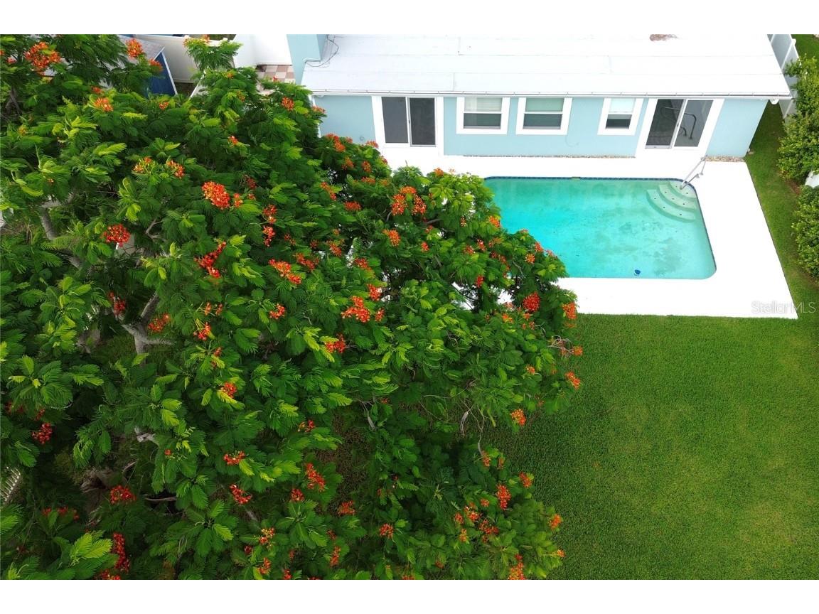 4740 Venetian Boulevard NE Saint Petersburg FL 33703 TB8405184 image3