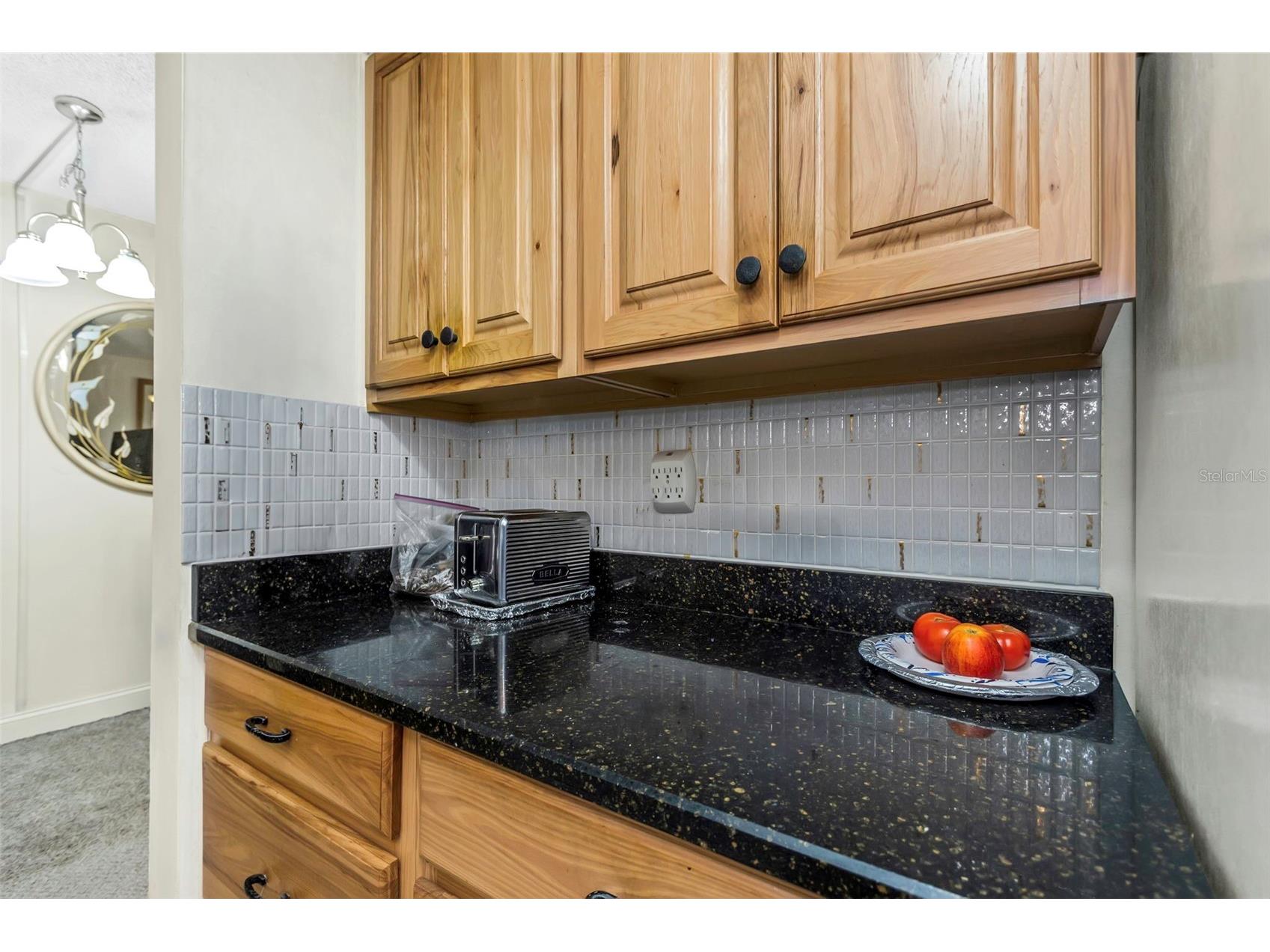 4742 Azalea Drive #106 New Port Richey FL 34652 TB8470954 image6