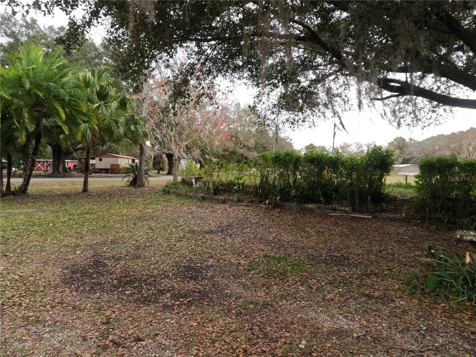 4742 Creek Meadow Trail Lakeland FL 33810 L4957630 image29