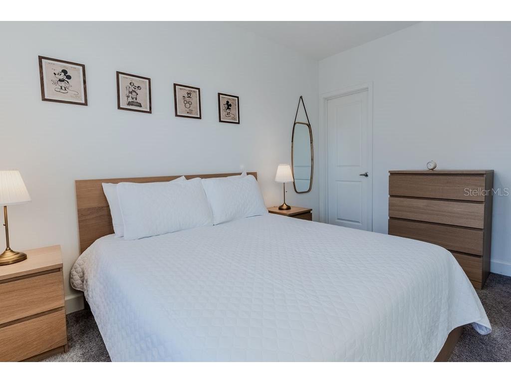 4742 Terra Esmeralda Drive Kissimmee FL 34746 O6353562 image21