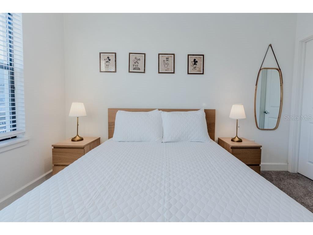 4742 Terra Esmeralda Drive Kissimmee FL 34746 O6353562 image22