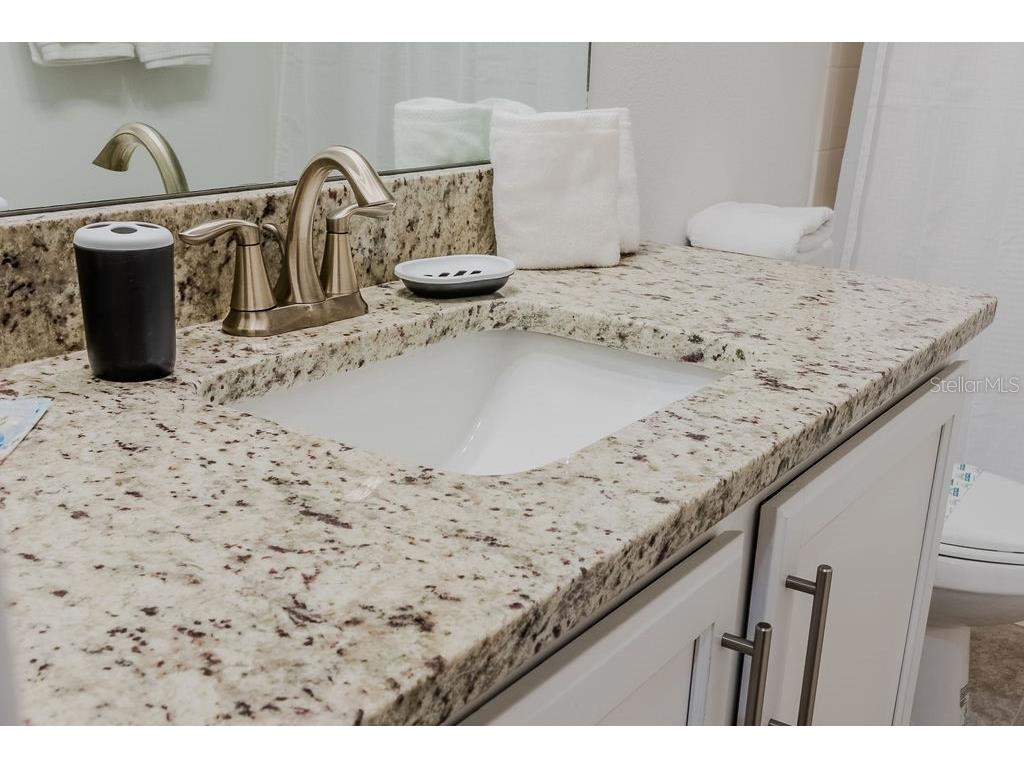 4742 Terra Esmeralda Drive Kissimmee FL 34746 O6353562 image39