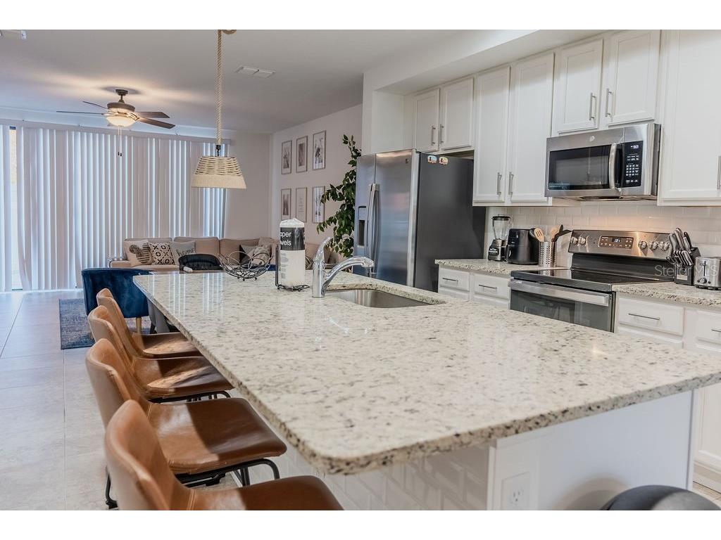 4742 Terra Esmeralda Drive Kissimmee FL 34746 O6353562 image5