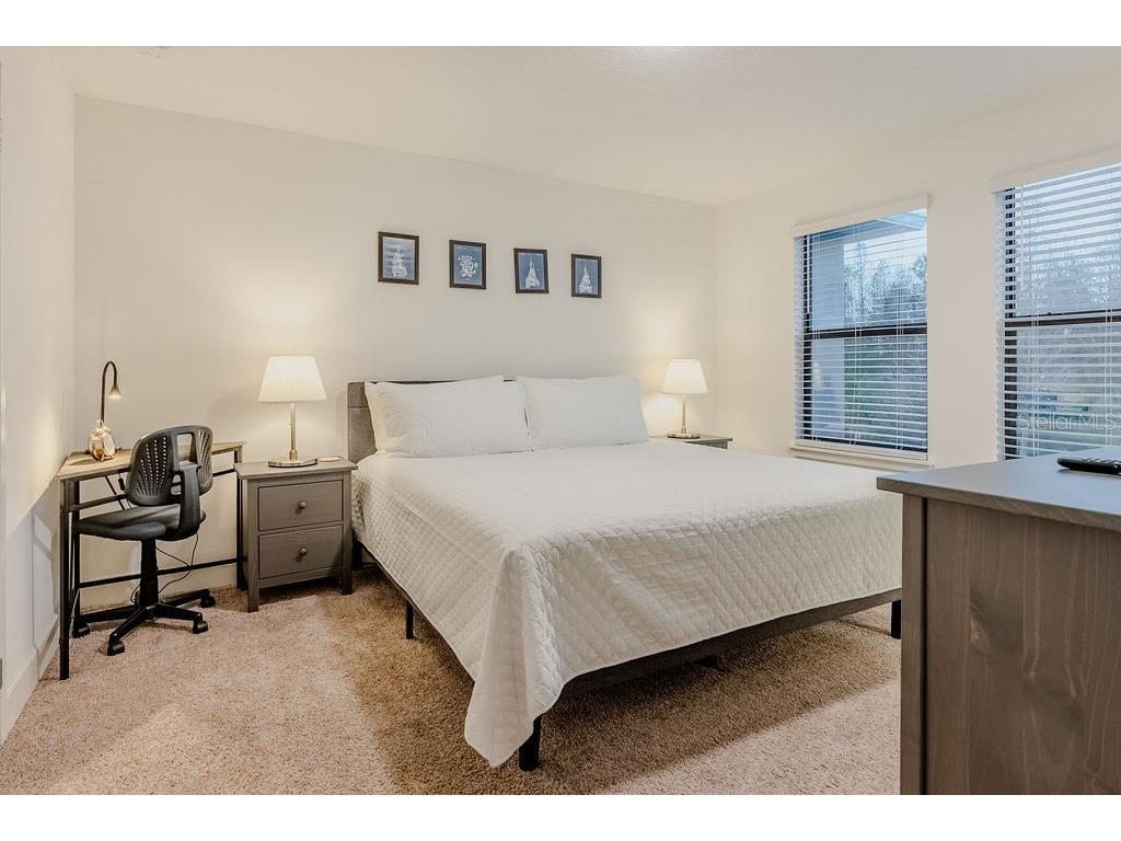 4742 Terra Esmeralda Drive Kissimmee FL 34746 O6353562 image50