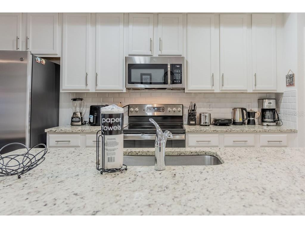 4742 Terra Esmeralda Drive Kissimmee FL 34746 O6353562 image6