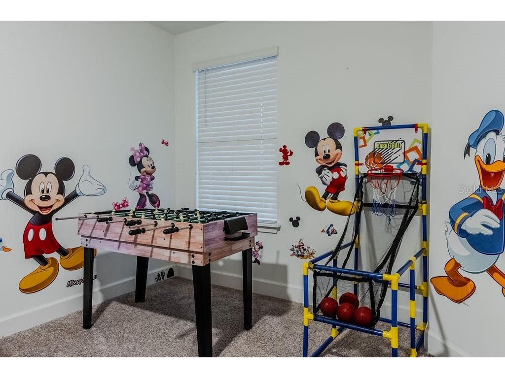 4742 Terra Esmeralda Drive Kissimmee FL 34746 O6353577 image34