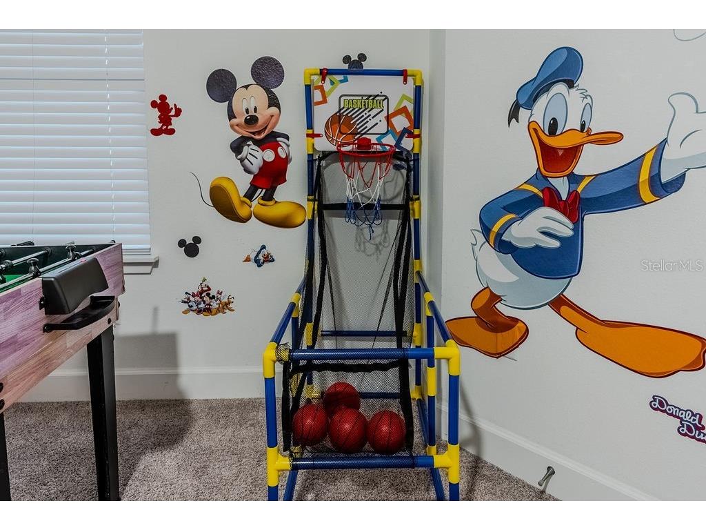 4742 Terra Esmeralda Drive Kissimmee FL 34746 O6353577 image35