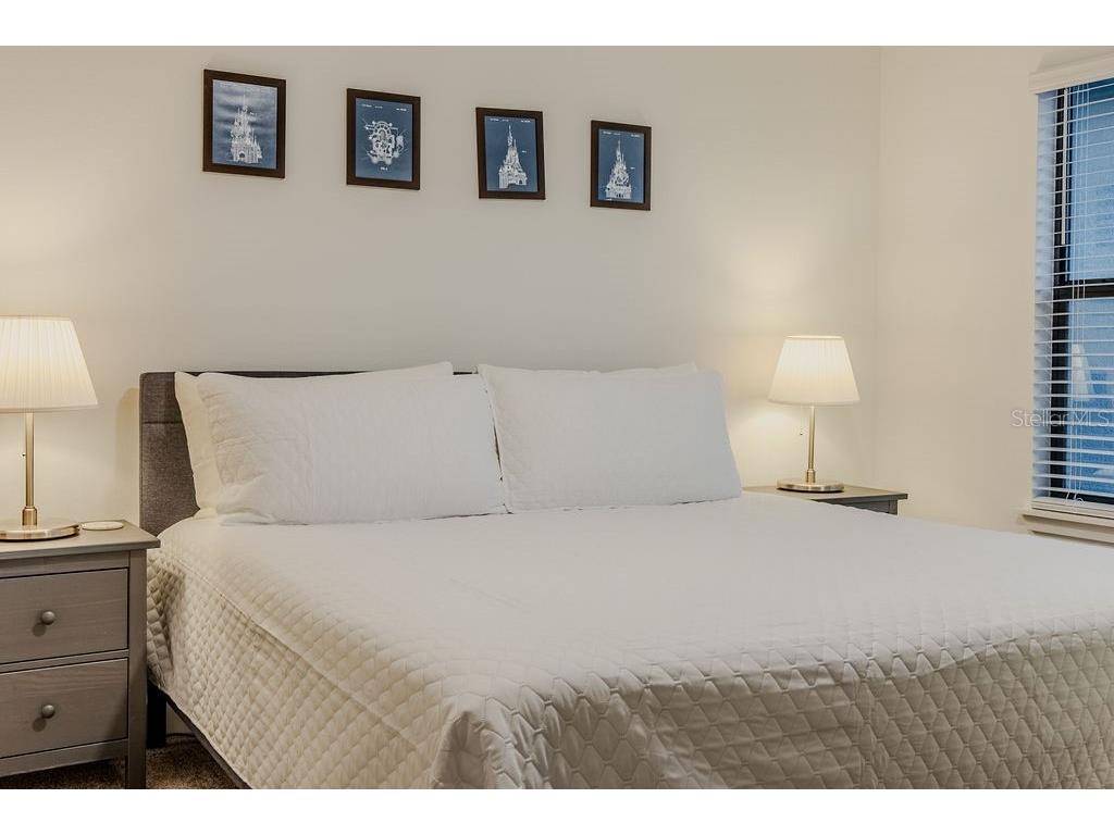 4742 Terra Esmeralda Drive Kissimmee FL 34746 O6353577 image55