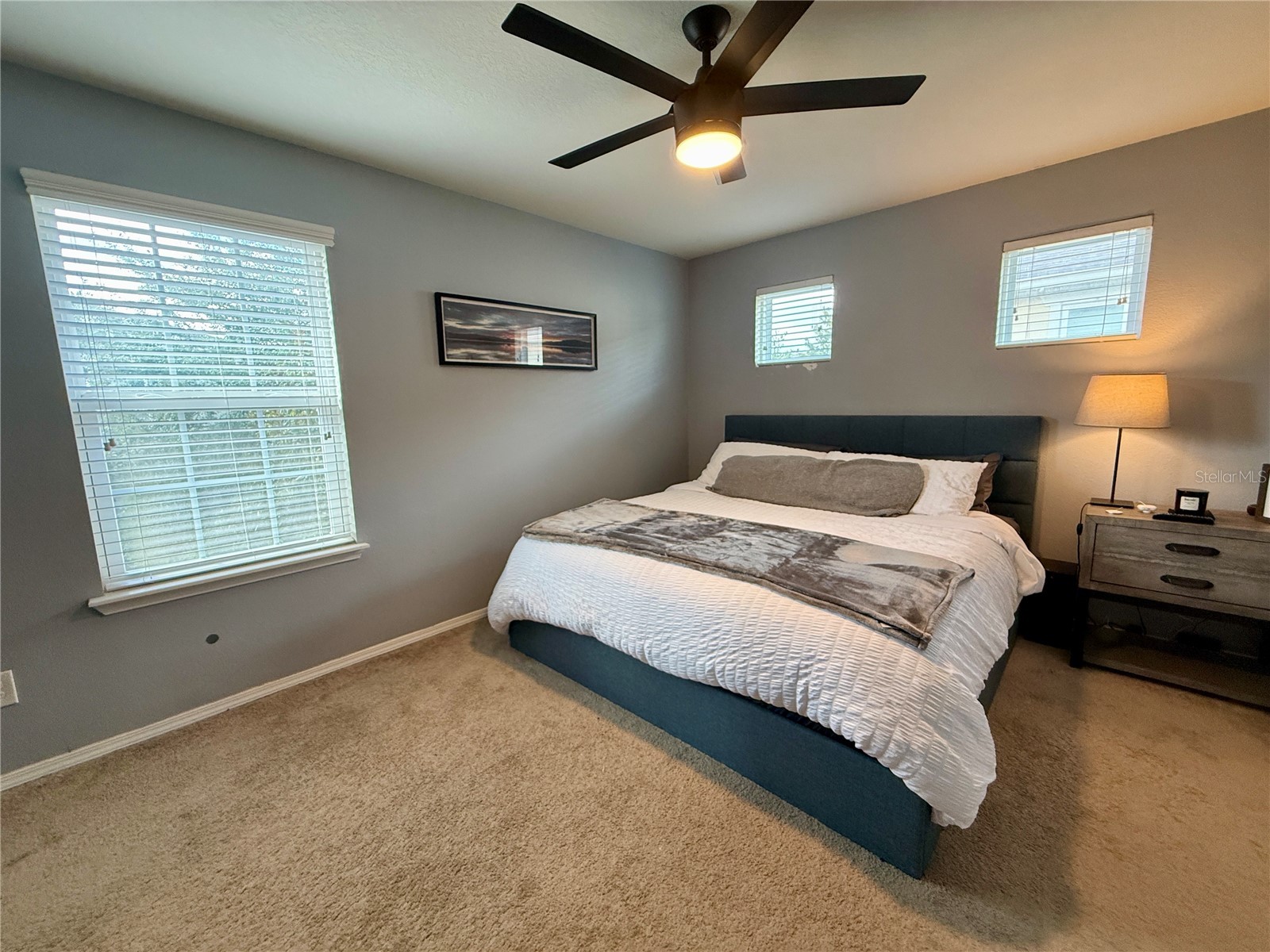 4743 Chatterton Way Riverview FL 33578 TB8498659 image13