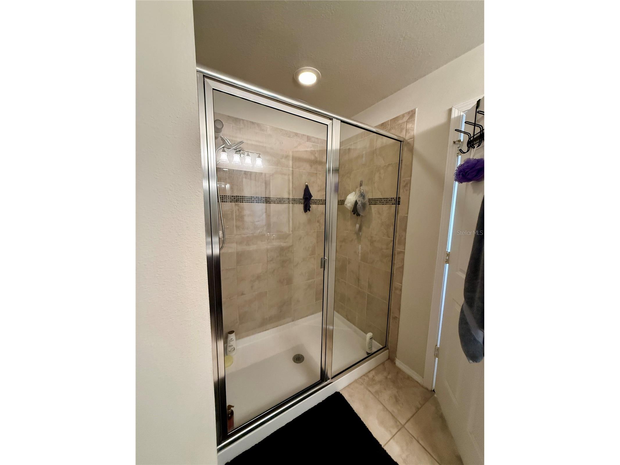 4743 Chatterton Way Riverview FL 33578 TB8498659 image16