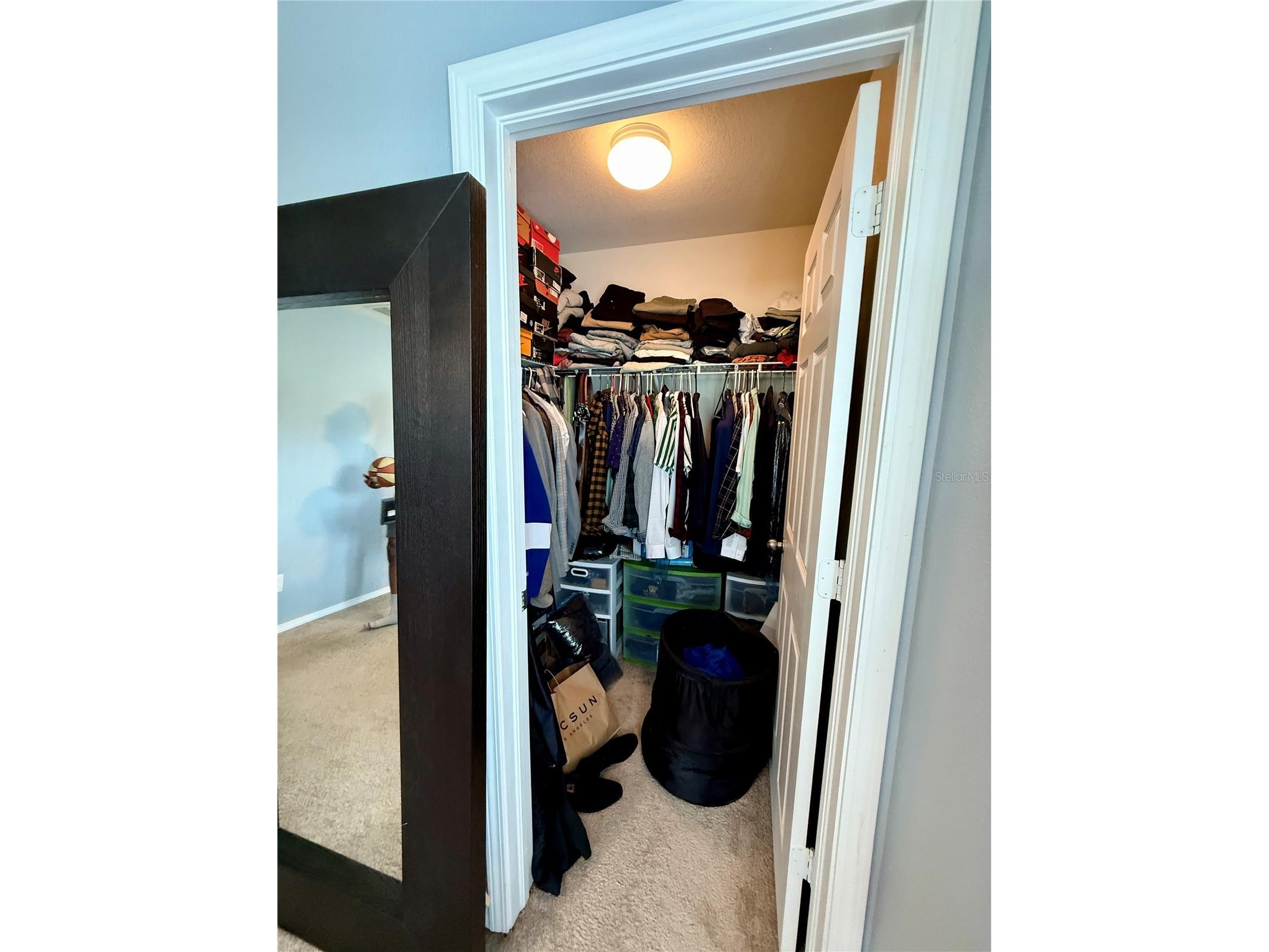 4743 Chatterton Way Riverview FL 33578 TB8498659 image17