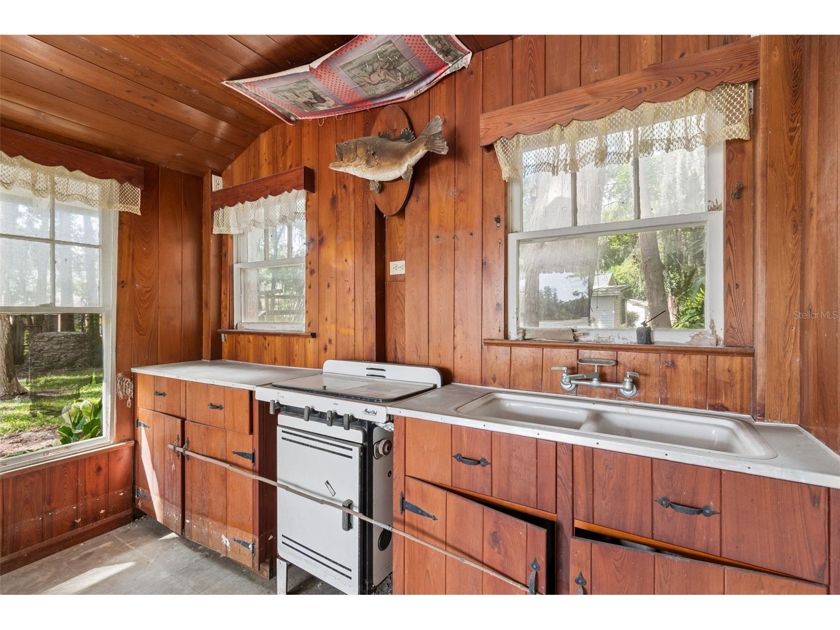 4743 School Road Land O Lakes FL 34638 - WEST LAKE ELLIS TB8498243 image36