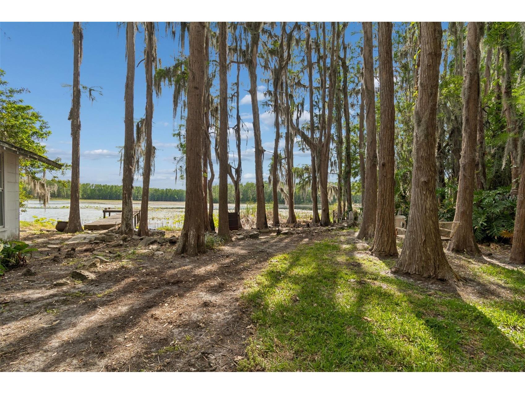 4743 School Road Land O Lakes FL 34638 - WEST LAKE ELLIS TB8498243 image42