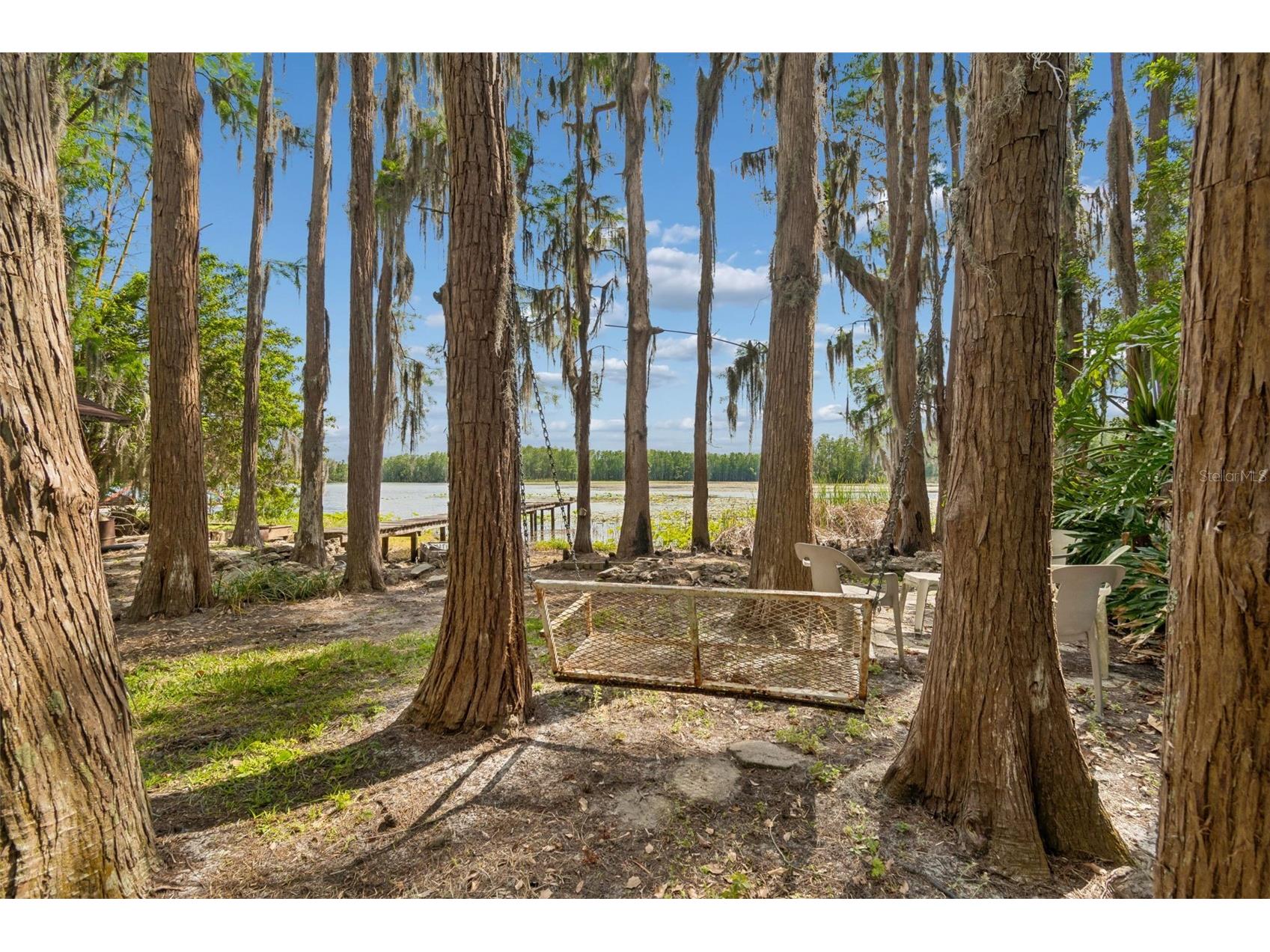 4743 School Road Land O Lakes FL 34638 - WEST LAKE ELLIS TB8498243 image45