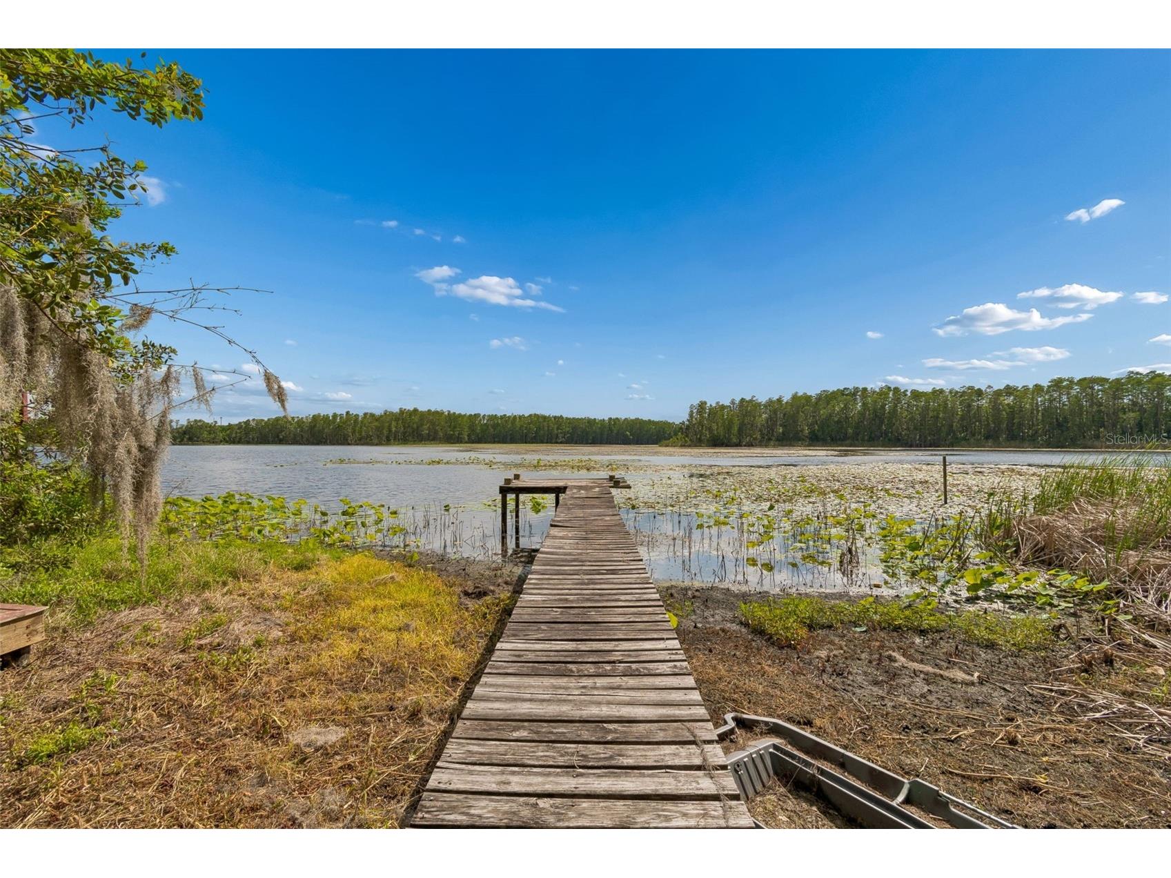 4743 School Road Land O Lakes FL 34638 - WEST LAKE ELLIS TB8498243 image47
