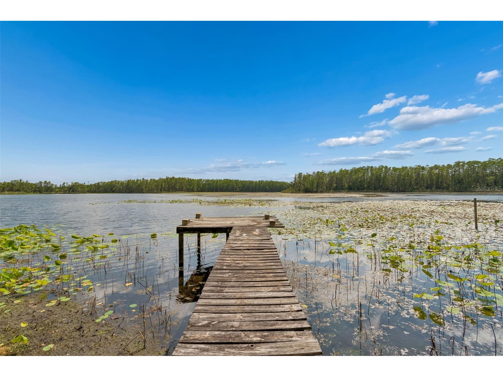 4743 School Road Land O Lakes FL 34638 - WEST LAKE ELLIS TB8498243 image48