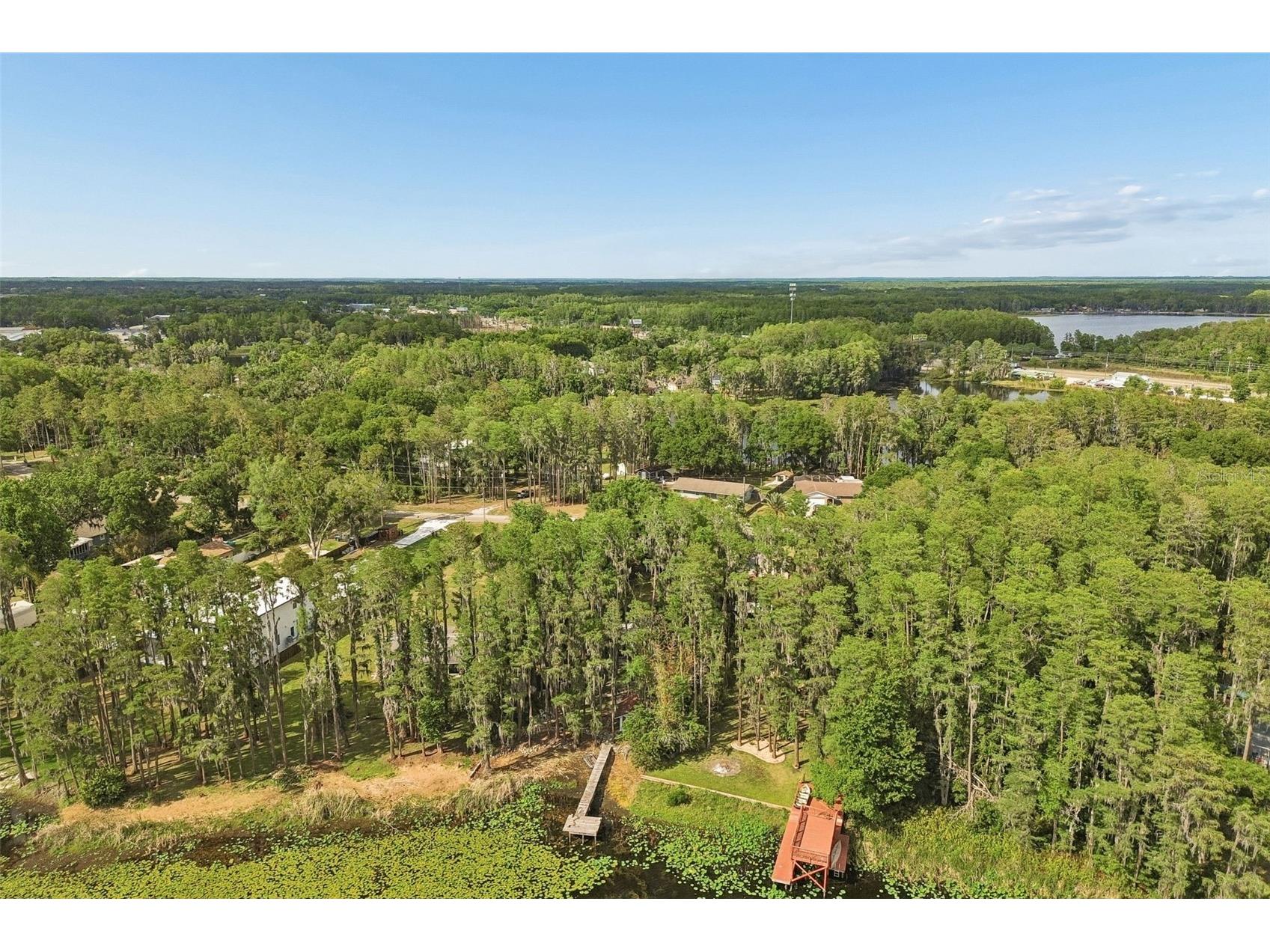 4743 School Road Land O Lakes FL 34638 - WEST LAKE ELLIS TB8498243 image53