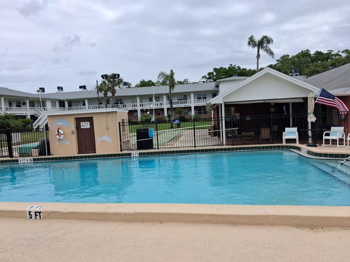 4744 Azalea Drive #204 New Port Richey FL 34652 TB8497784 image21