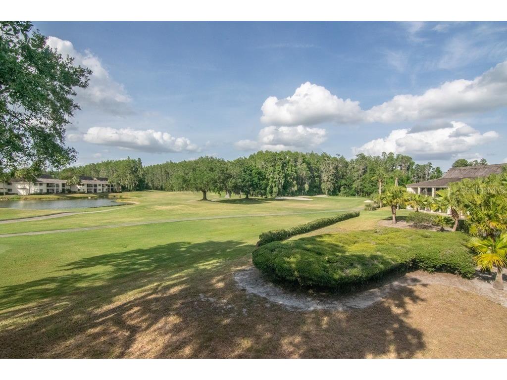 4744 Fox Hunt Drive #1022 & 1024 Wesley Chapel FL 33543 TB8505878 image36