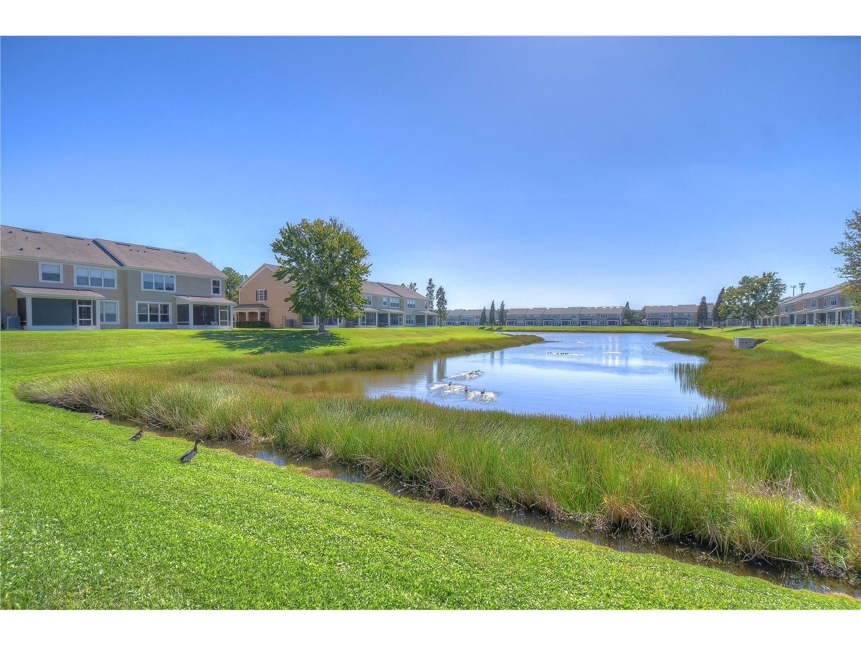 4744 Pond Ridge Drive Riverview FL 33578 - COMMUNITY POND TB8510183 image8