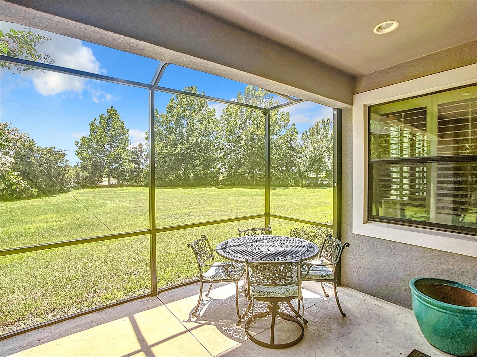 4744 Wandering Way Wesley Chapel FL 33544 TB8493966 image30