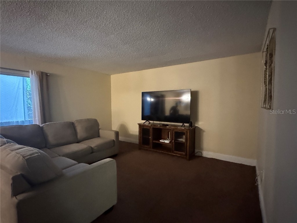 4745 S Texas Avenue #4745B Orlando FL 32839 S5137275 image12