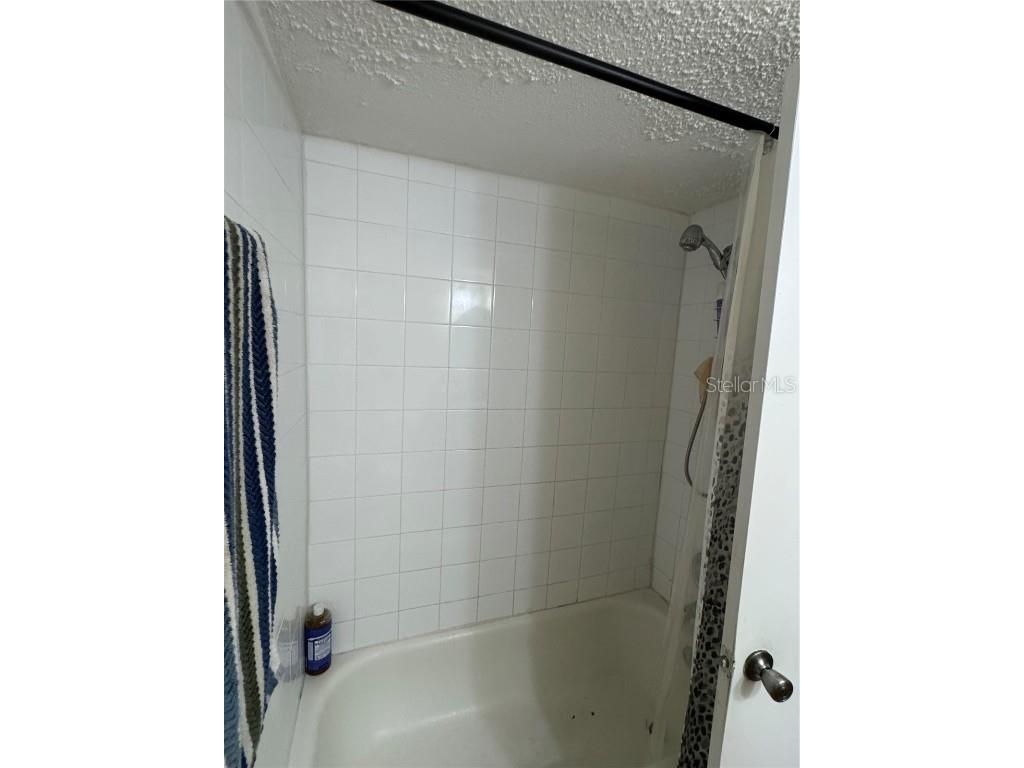 4745 S Texas Avenue #4745B Orlando FL 32839 S5137275 image19