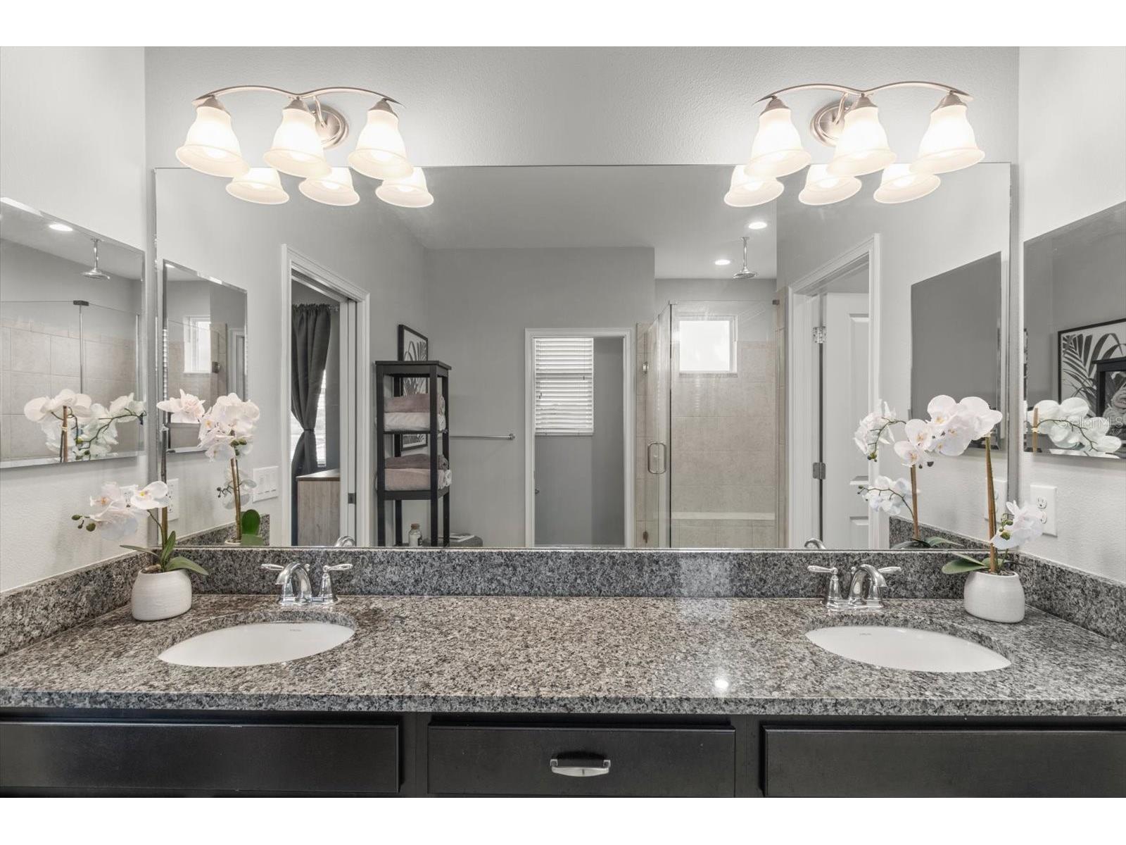 4745 Tramanto Lane Wesley Chapel FL 33543 TB8463380 image22