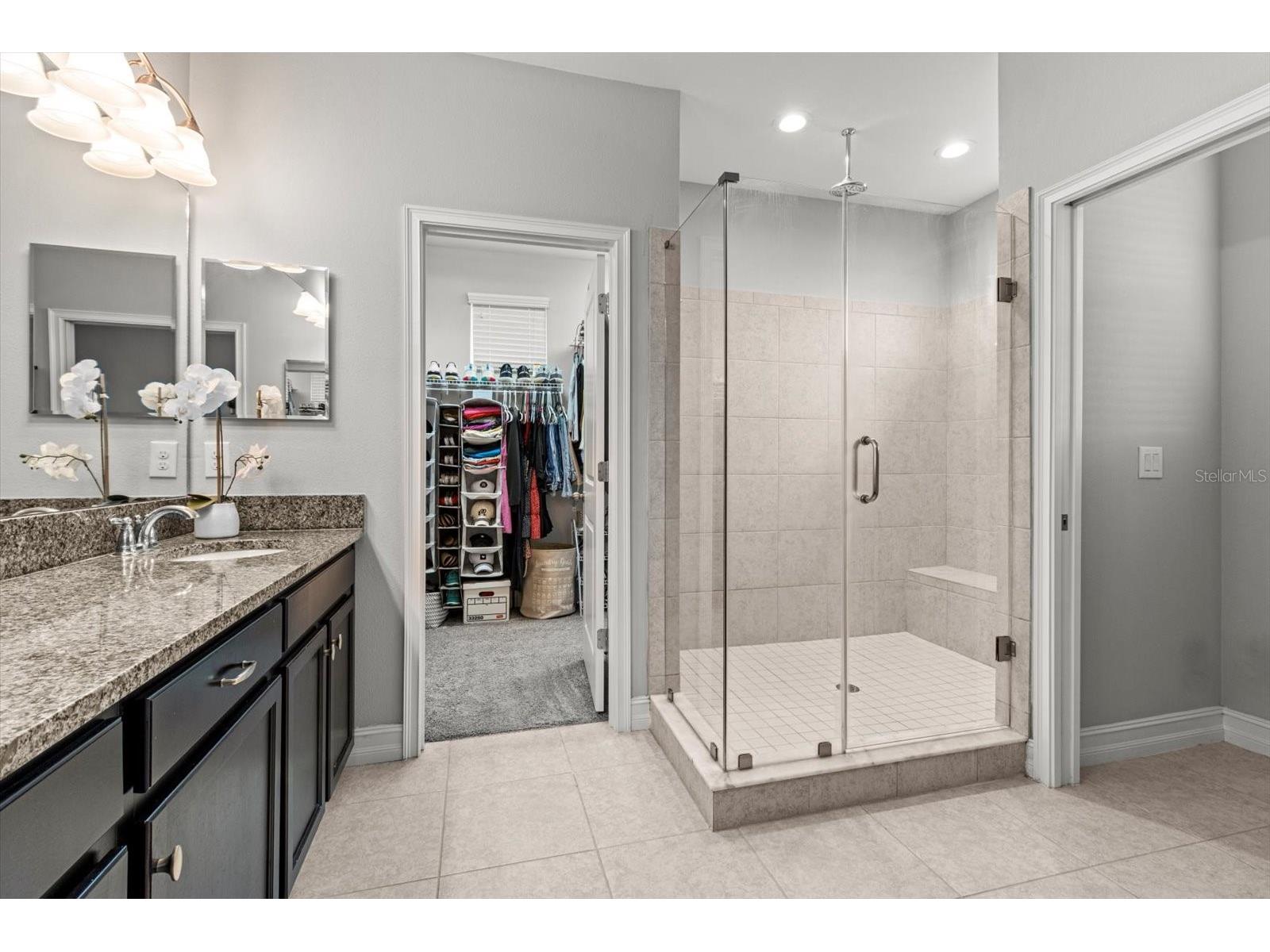 4745 Tramanto Lane Wesley Chapel FL 33543 TB8463380 image24