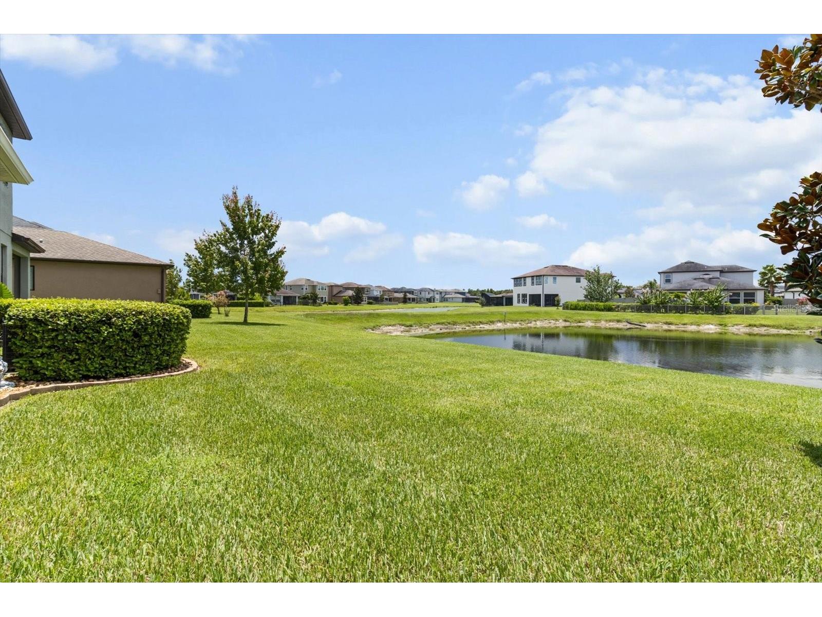 4745 Tramanto Lane Wesley Chapel FL 33543 TB8463380 image37
