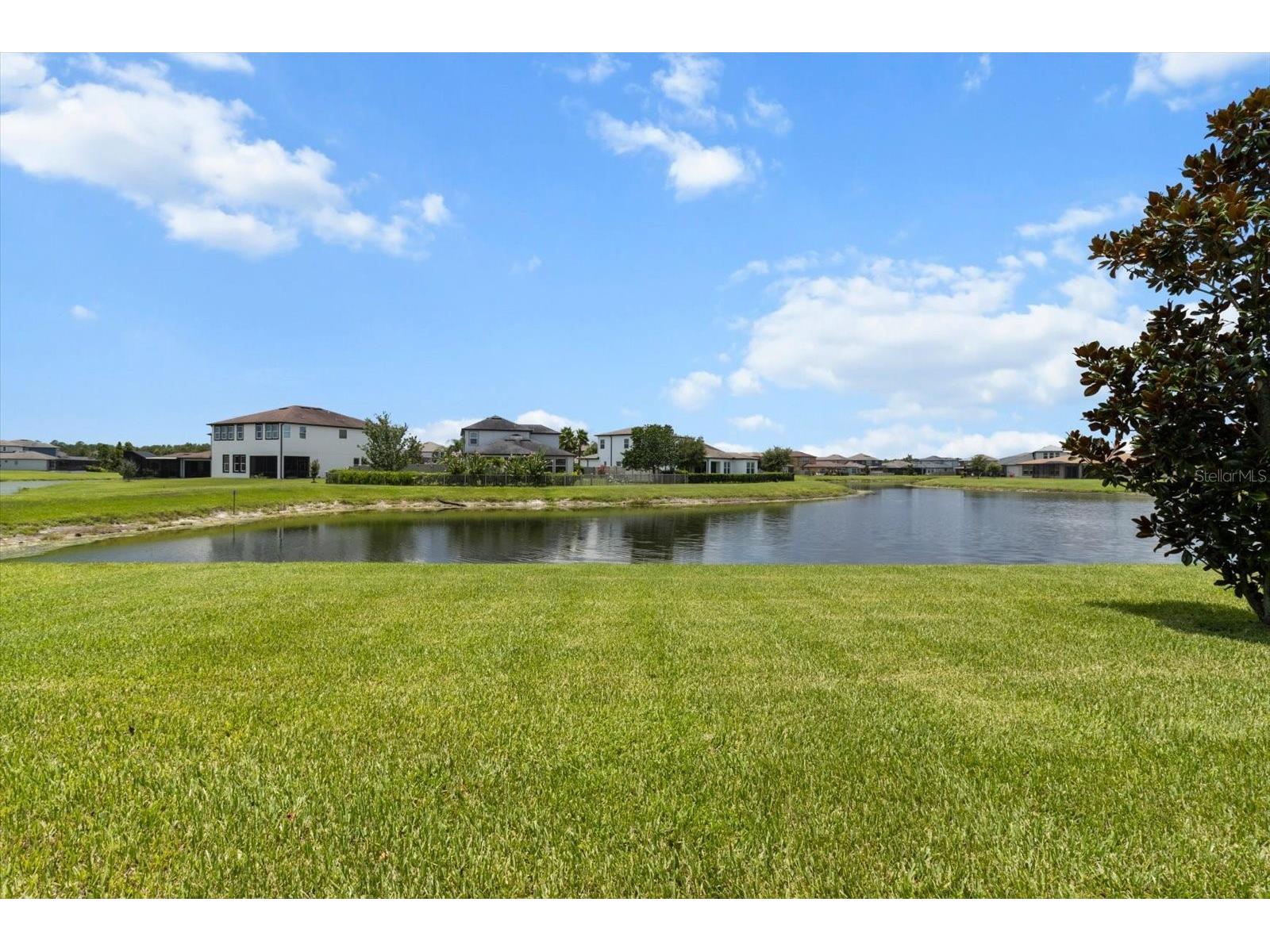 4745 Tramanto Lane Wesley Chapel FL 33543 TB8463380 image38